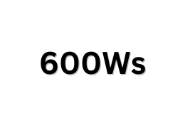 600Ws
